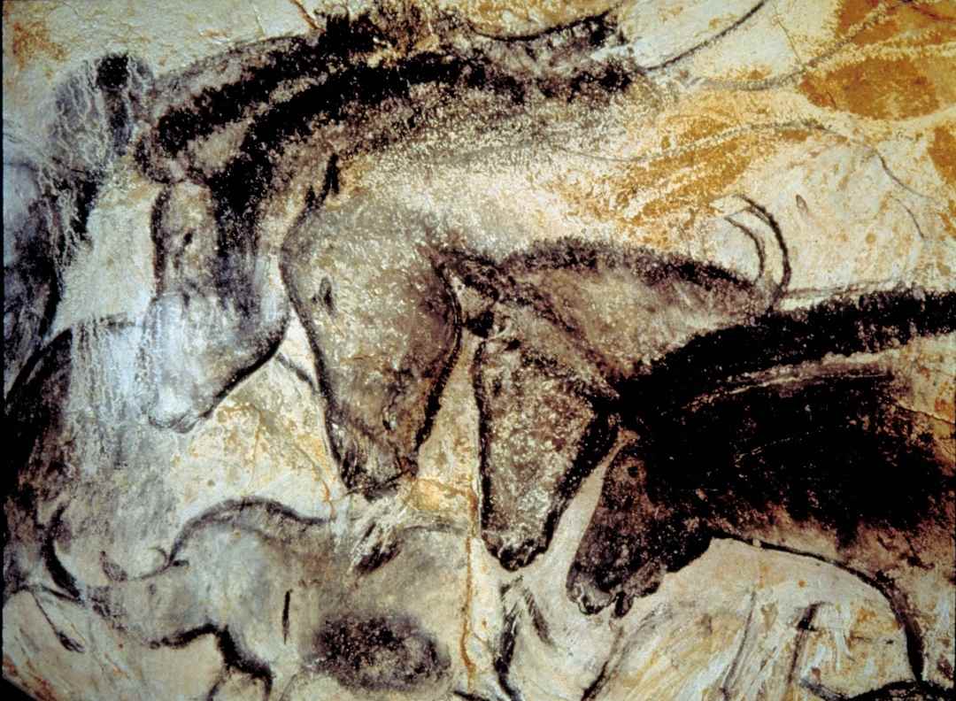 Pinturas da caverna de Chauvet,  30 mil anos