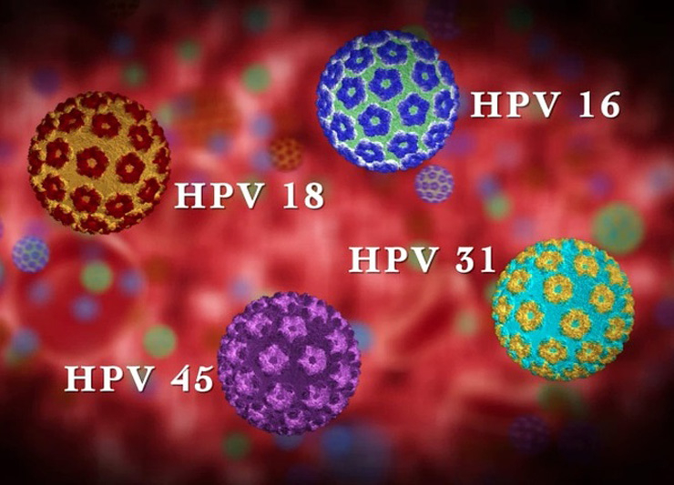 humanen papillomavirus hpv 16 und 18)