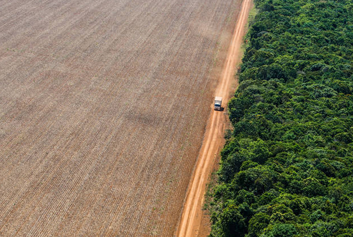 O debate ocorre em um momento em que o Brasil responde por 7% da exportação mundial de alimentos, conta com a maior biodiversidade do planeta e tem no agronegócio quase um quarto de seu PIB.