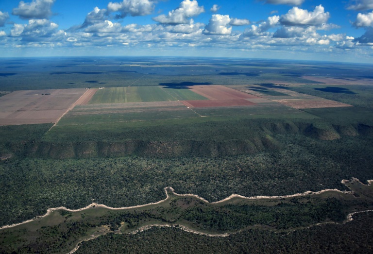 Vista aérea do Cerrado, que rodeia os campos agrícolas em Formosa do Rio Preto, oeste do estado da Bahia.