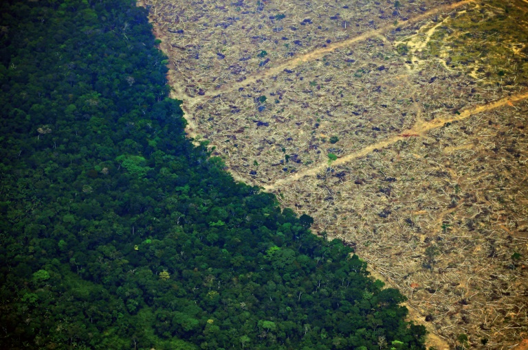 A bacia amazônica sustenta a maior floresta tropical do mundo e desempenha um papel essencial na regulação de climas regionais e até globais