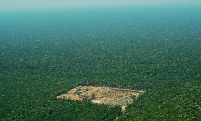 A pecuária extensiva praticamente quadruplicou sua superfície na bacia amazônica em três décadas.