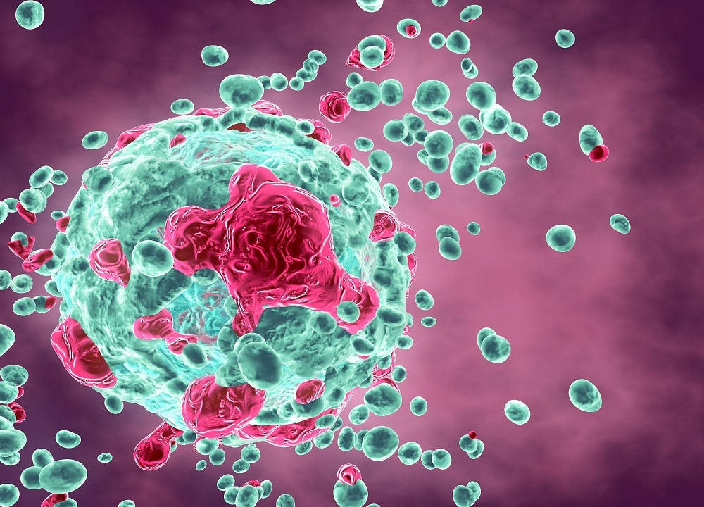 Células T são nova frente de pesquisa no combate ao câncer