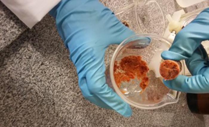 Pesquisadores isolaram oito novos polifenóis na variedade mais rara de própolis. Dois deles apresentaram, nos testes in vitro, potencial de inibir a proliferação de células tumorais