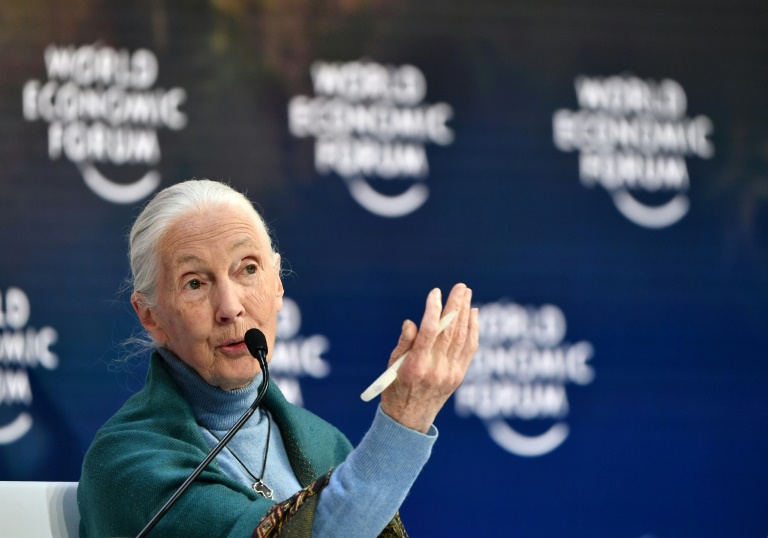 Primatologista britânica Jane Goodall no Fórum Econômico de Davos, na Suiça