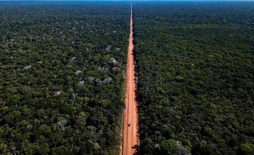 A Br-319 corta regiões bem preservadas e pode causar danos a biomas ricos da Amazônia