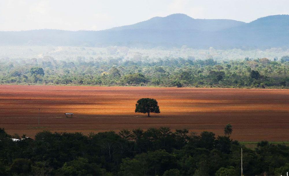 Eestudo avalia que em Mato Grosso, somente 3% dos imóveis possuíam de fato uma autorização para desmatar, o que tornaria legal a retirada da floresta.