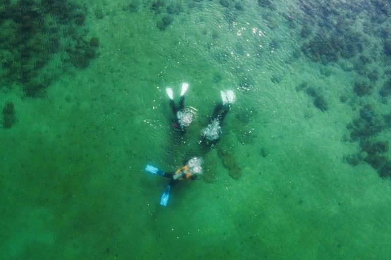 Nesta foto aérea de 2 de fevereiro de 2021, mergulhadores nadam sobre telhas de argila impressas em 3D, projetadas para funcionar como um leito artificial para corais