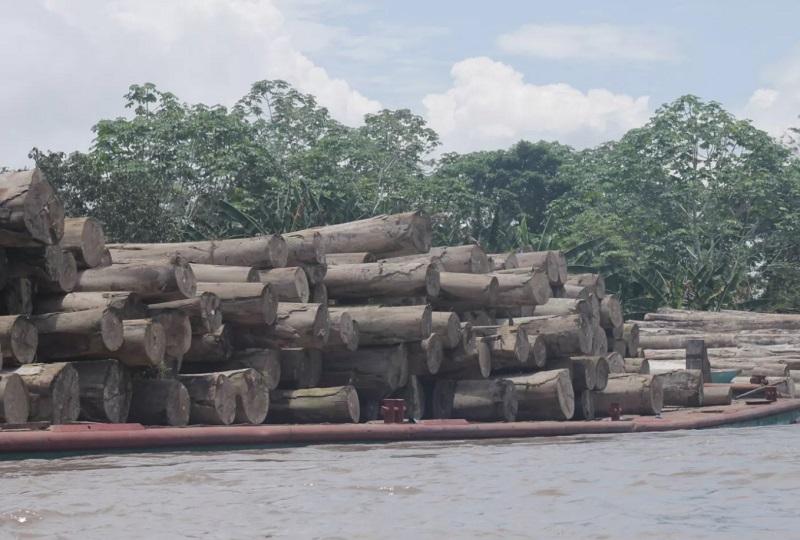 Carga de madeira deixando o porto de Pucallpa, no Peru