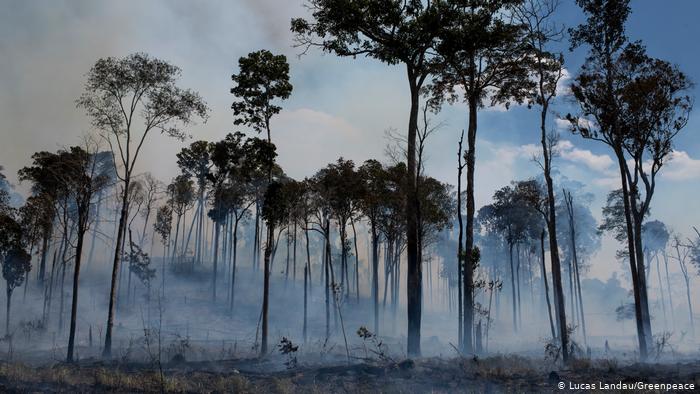 Sobre os incêndios florestais na Amazônia, 77% dos brasileiros veem a ação humana como principal causa