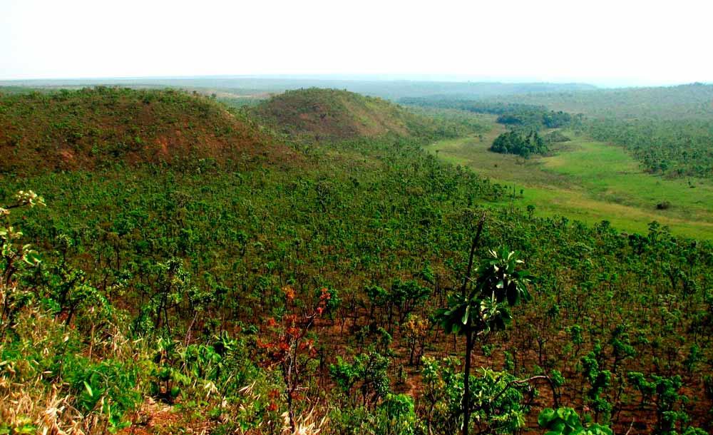 O Cerrado é um dos biomas mais ameaçados por queimadas e pela expansão da soja