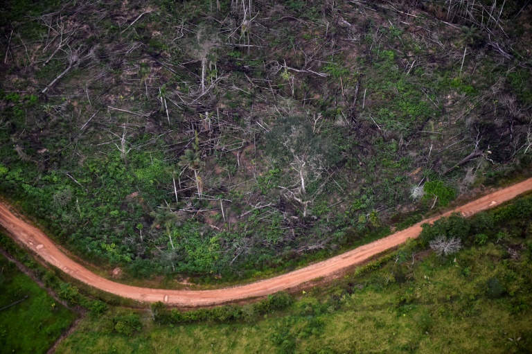 O Acordo de Escazú, o primeiro tratado ambiental na América Latina e no Caribe para defender os ambientalistas, foi suspenso na Colômbia