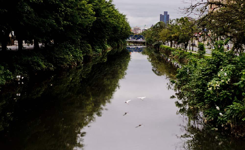 Cobiçadas por imobiliárias, áreas marginais de rios urbanos desempenham grande papel na conservação dos rios