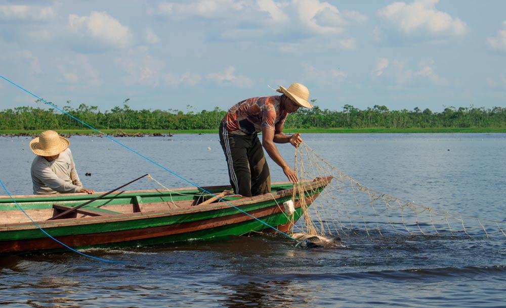 Manejo da pesca do pirarucu tem gerado renda aos ribeirinhos em comunidades isoladas