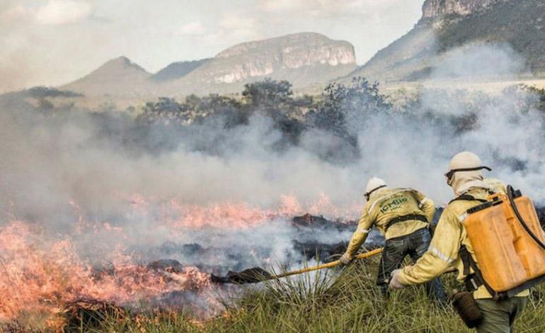 Brigadistas combatem queimada na Chapada dos Veadeiros: números recordes de incêndios