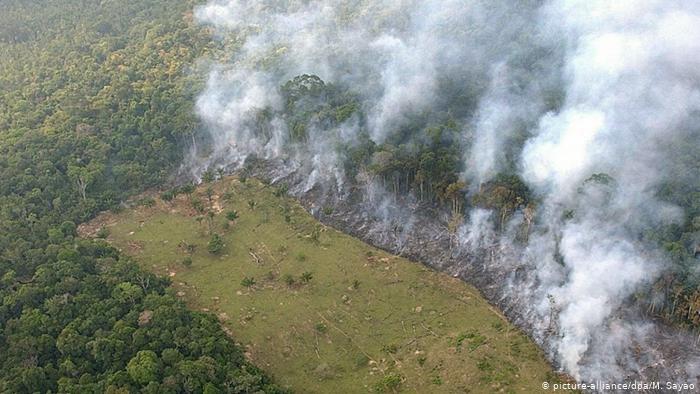 Brasil é de longe o país que abriga a maior parte da Floresta Amazônica