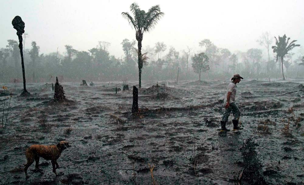 Fogo atinge floresta próximo a Porto Velho, em Rondônia: Amazônia em chamas