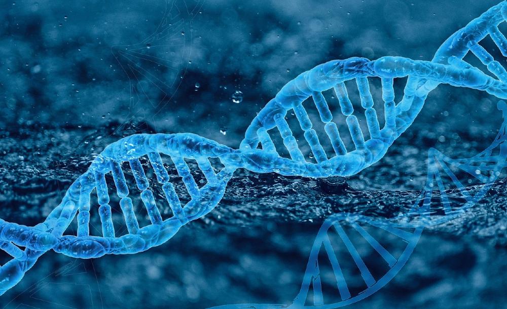 As combinações do DNA, se transferidas para o armazenamento de dados, são uma promissora tecnologia