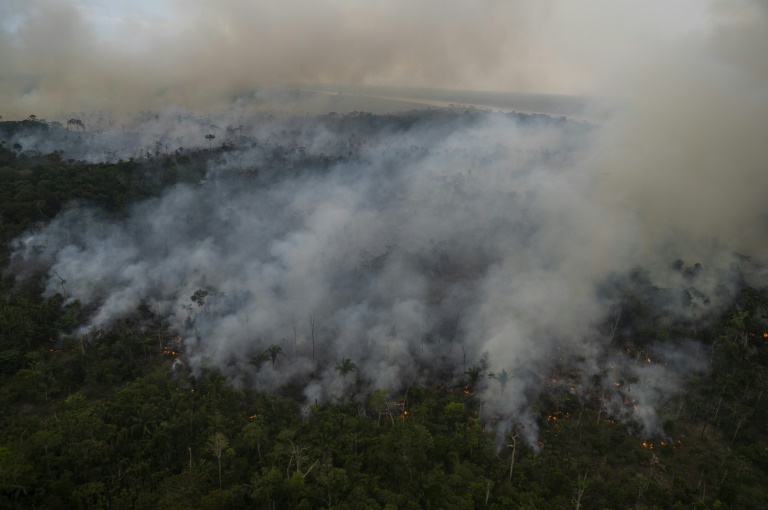 Amazônia em chamas, em 15 de setembro de 2021