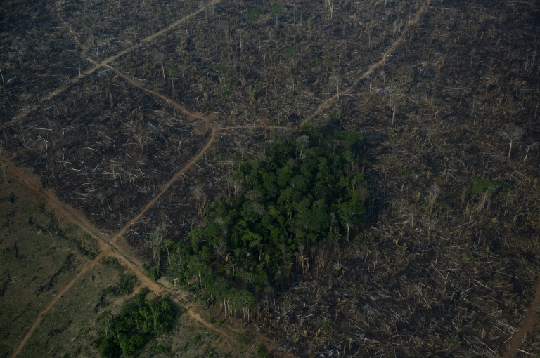Vista aérea mostrando uma área desmatada da floresta amazônica em Lábrea, estado do Amazonas, em setembro de 2021