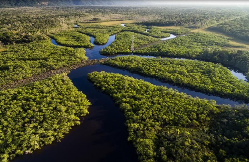 Noruega deseja ver nova redução substancial no desmatamento para retomar doações ao Brasil