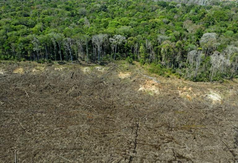 Vista aérea de uma área desmatada perto de Sinop, Estado de Mato Grosso, Brasil, tirada em 7 de agosto de 2020