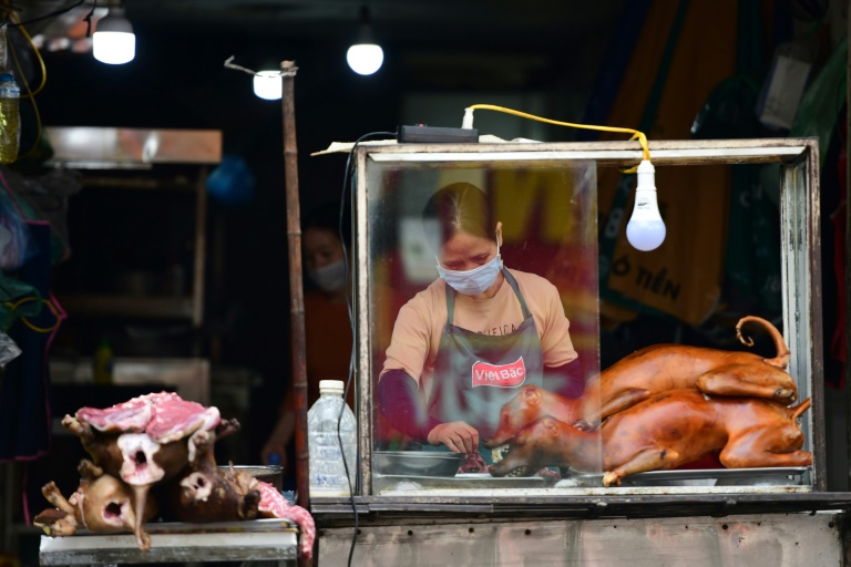Vendedor de carne de cão em Hanói