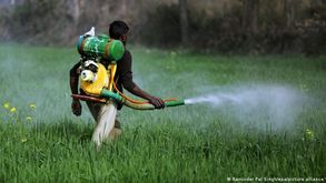 Pesticidas intoxicam 400 mil de agricultores por ano no mundo (DW)