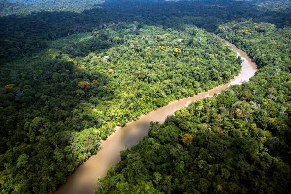 Vista da Floresta Amazônica
