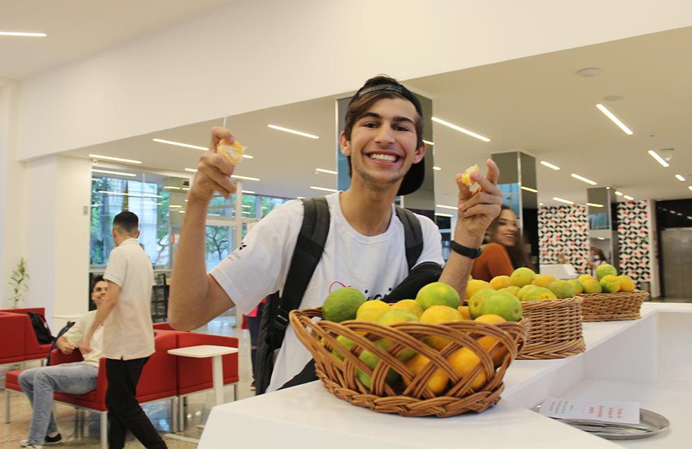 Estudantes retiram as frutas, que são 100% orgânicas