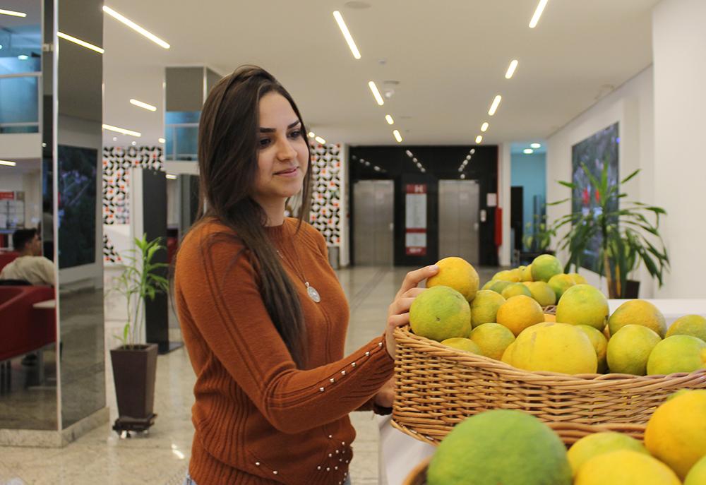 Estudantes retiram as frutas, que são 100% orgânicas