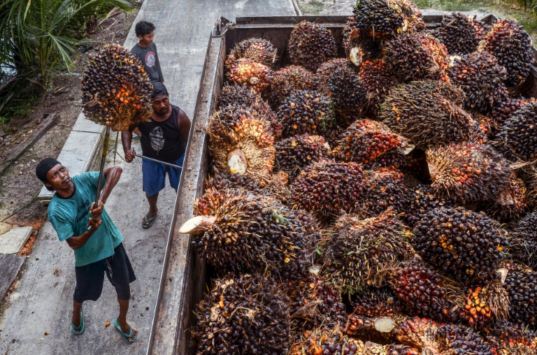 O país do sudeste asiático iniciou um embargo completo sobre as exportações do produto em 28 de abril, motivado pela escassez no mercado local e o aumento dos preços do óleo de palma para cozinhar