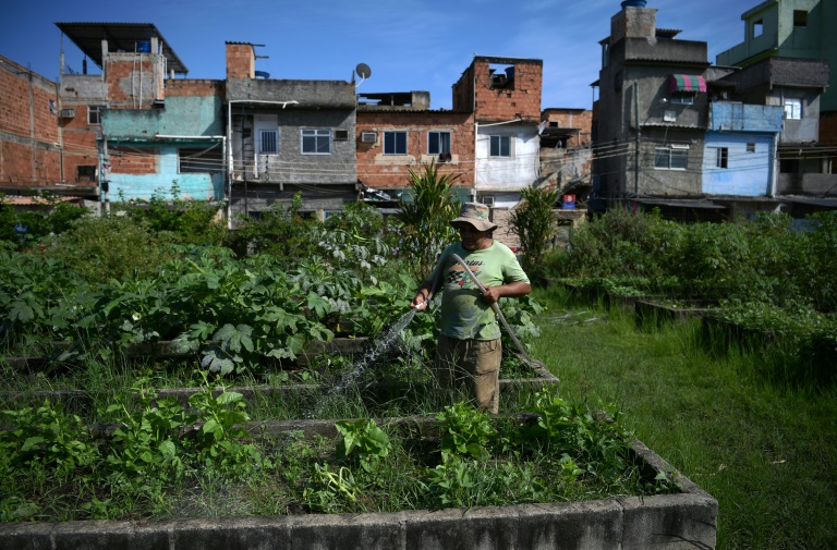 Homem rega horta cultivada em Manguinhos, Rio de Janeiro, em 4 de maio de 2022