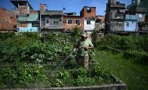 Homem rega horta cultivada em Manguinhos, Rio de Janeiro, em 4 de maio de 2022 (CARL DE SOUZA/AFP)