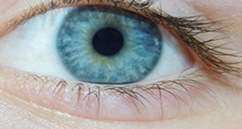 Olhos azuis (Pixabay)