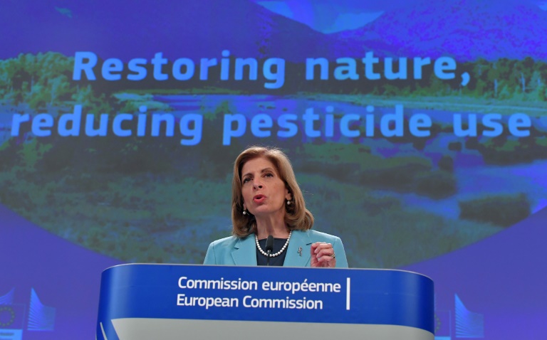 Comissária de Saúde da União Europeia, Stella Kyriakides discursa sobre a redução do uso de pesticida na sede da UE, em Bruxelas.
