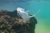 Poluição plástica no Oceano Índico em dezembro de 2021 (Olivier MORIN/AFP)