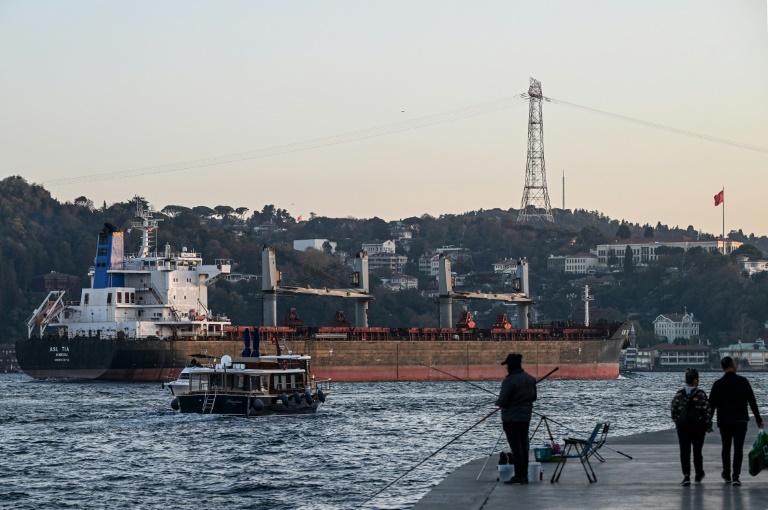 O Asl Tia, navio com cereais ucranianos, navega pelo Estreito de Bósforo, em Istambul, em 2 de novembro de 2022